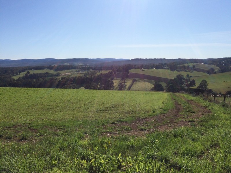 50 Ure Road, Gembrook VIC 3783