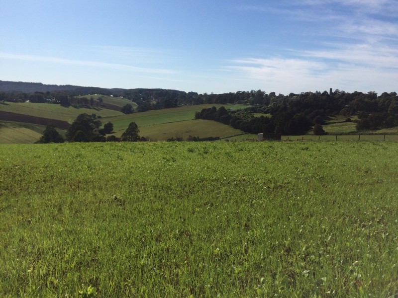 50 Ure Road, Gembrook VIC 3783