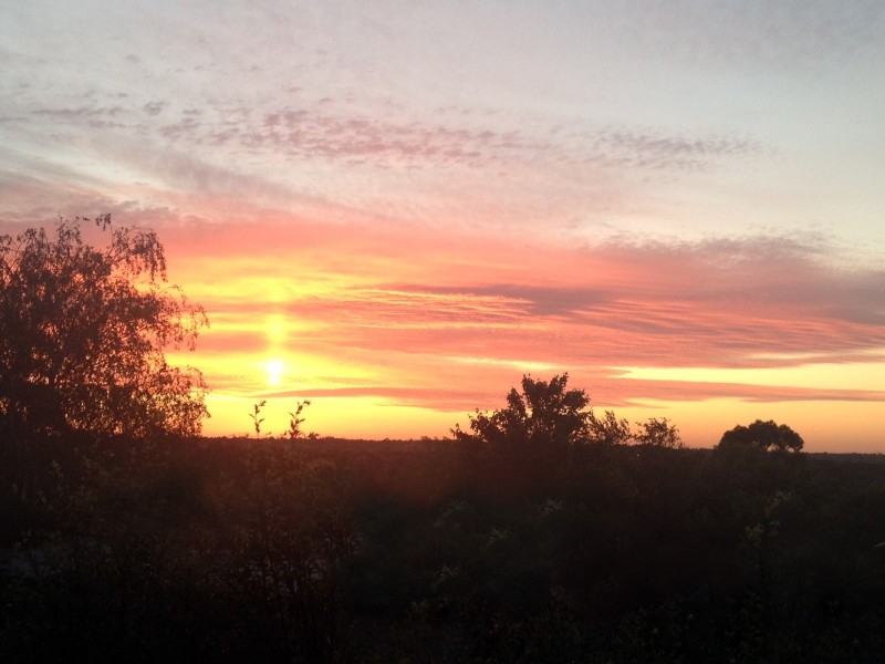 15 Hillview Place, Berwick VIC 3806