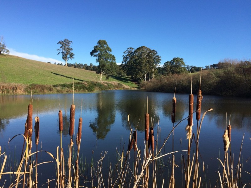 70 Ure Road, Gembrook VIC 3783