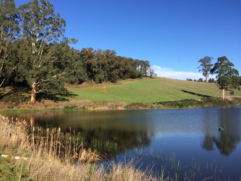 70 Ure Road, Gembrook VIC 3783