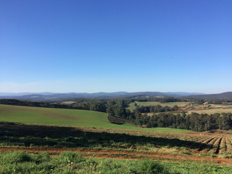 70 Ure Road, Gembrook VIC 3783