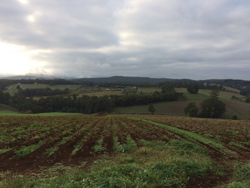 70 Ure Road, Gembrook VIC 3783