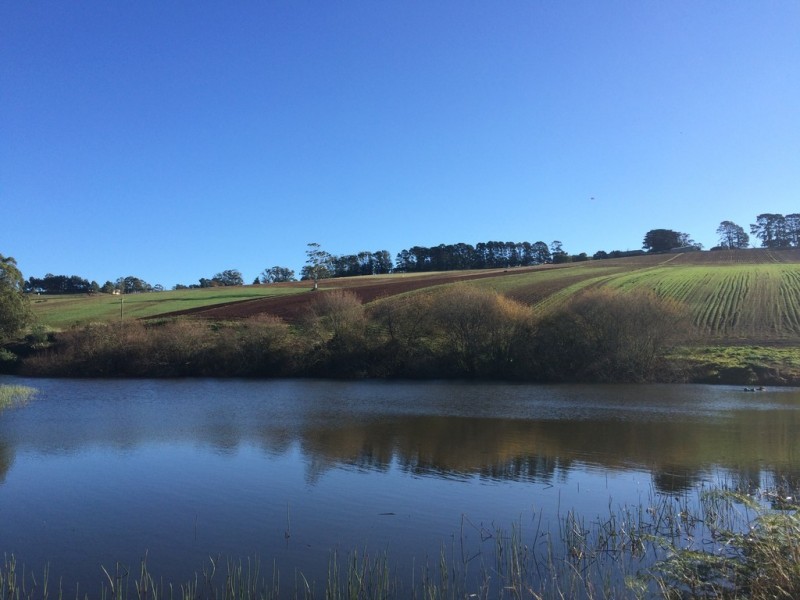 70 Ure Road, Gembrook VIC 3783