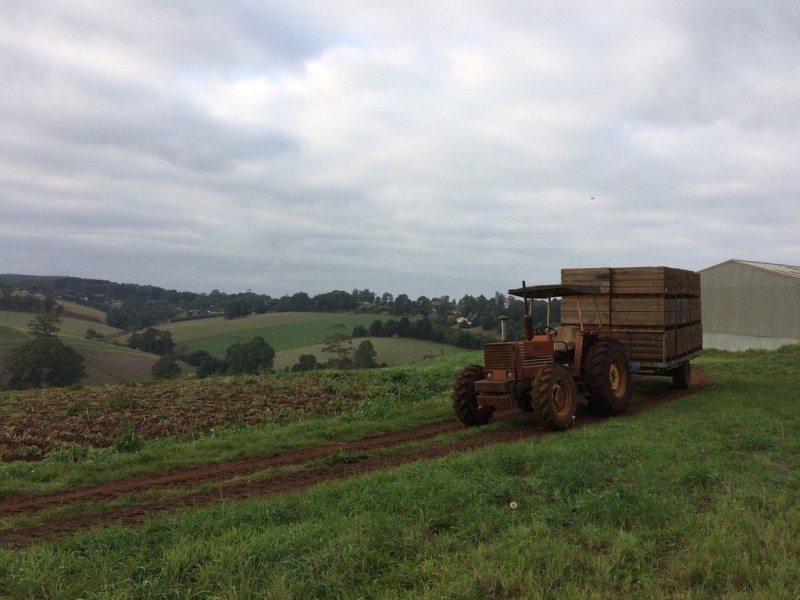 70 Ure Road, Gembrook VIC 3783