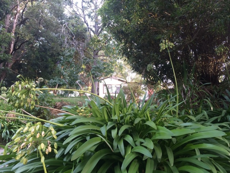 12 Grey Street, Belgrave VIC 3160