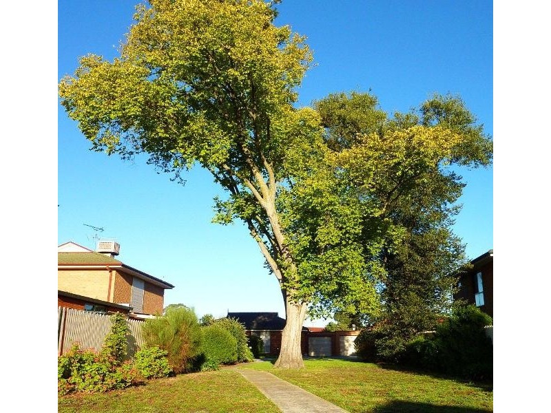 21/ 41-46 King Street, Pakenham VIC 3810