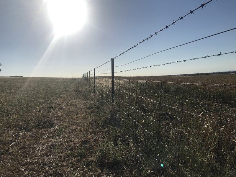 20 Rural Labouchere Road, Subiaco WA 6008