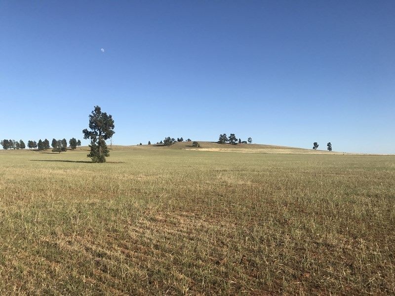 20 Rural Labouchere Road, Subiaco WA 6008