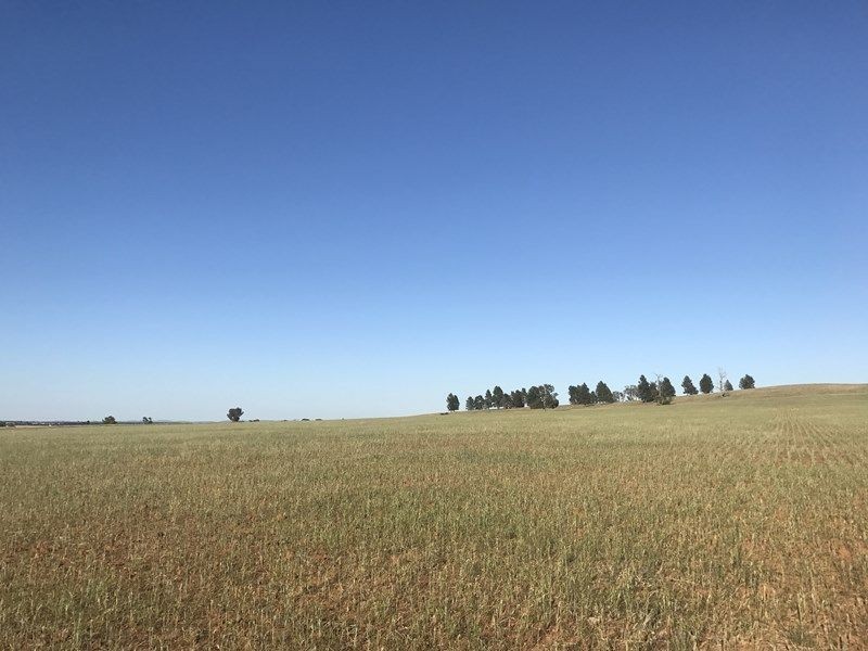 20 Rural Labouchere Road, Subiaco WA 6008