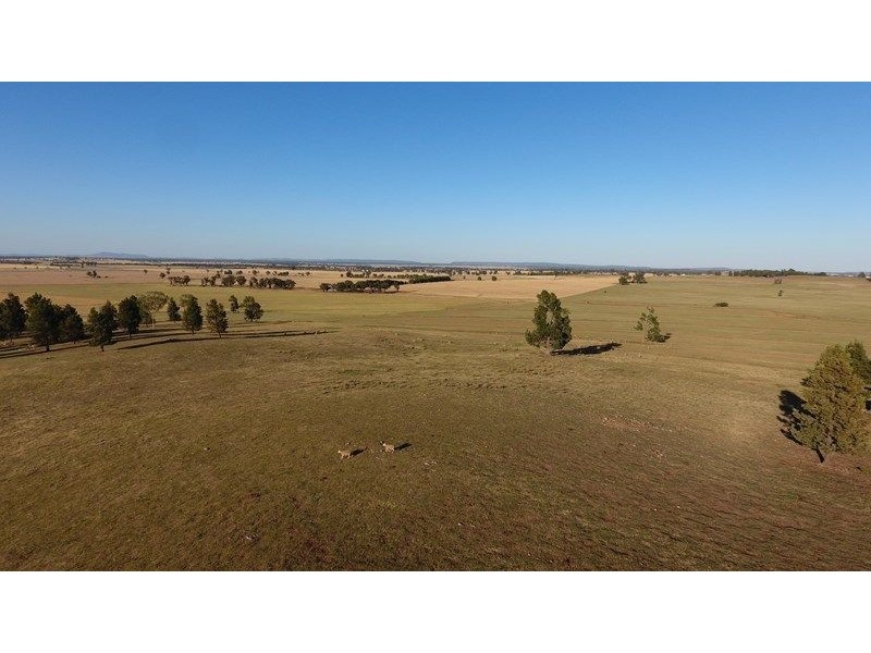 20 Rural Labouchere Road, Subiaco WA 6008