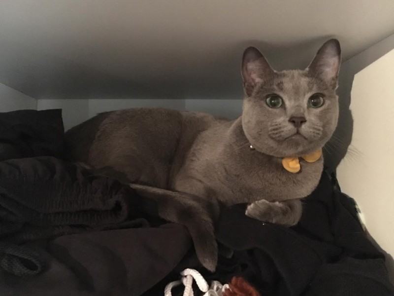 Lot 123 Smith Road, Marsden Park NSW 2765