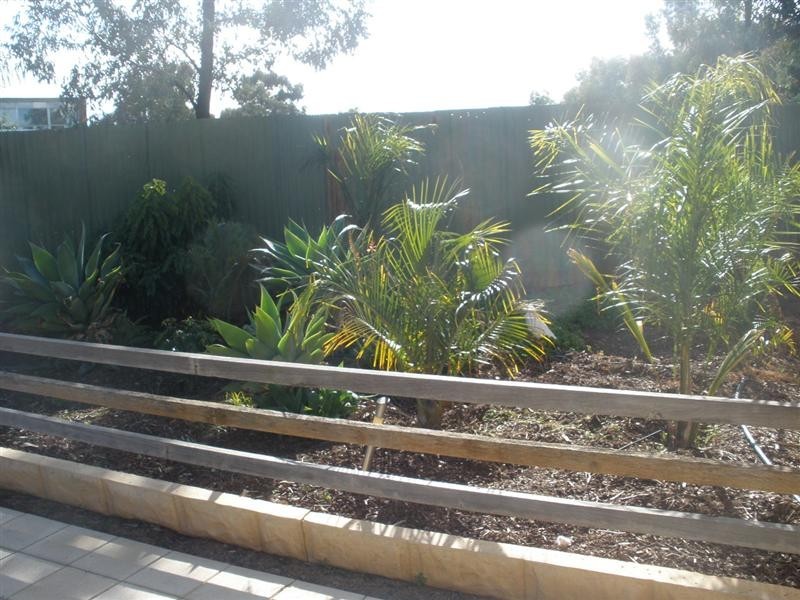 9 Lillee Avenue, Brahma Lodge SA 5109