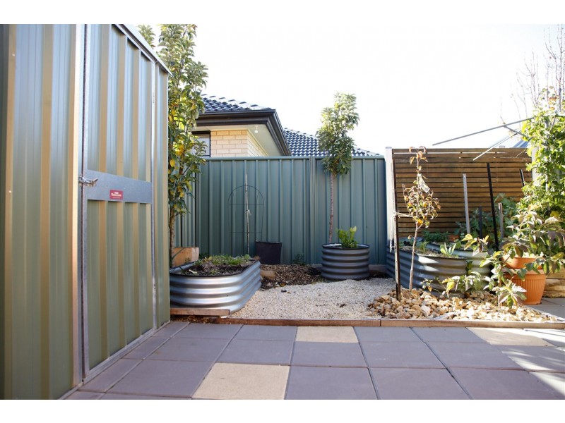 9 EVERGLADE STREET, Mawson Lakes SA 5095