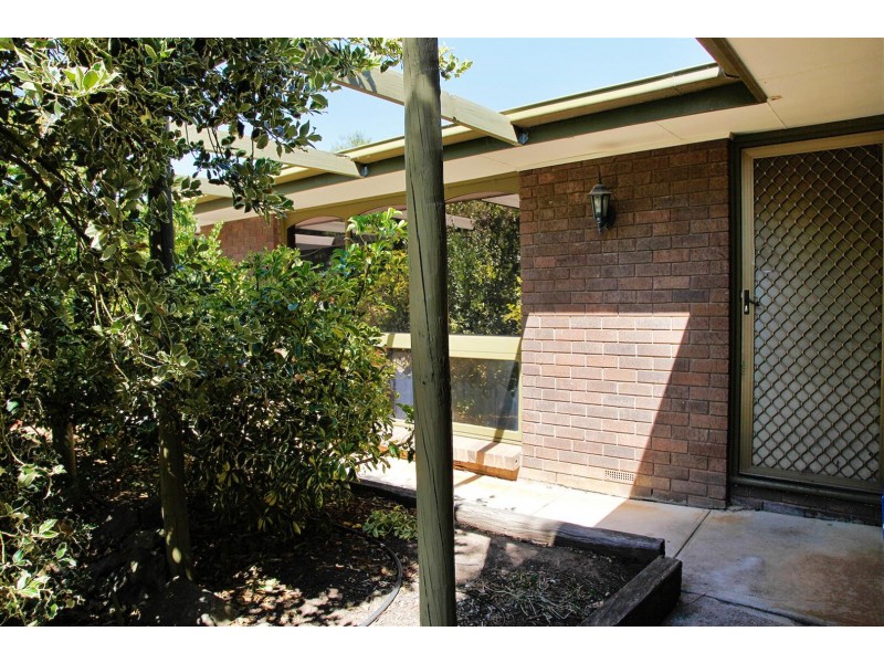 18 Roebling St, Modbury Heights SA 5092