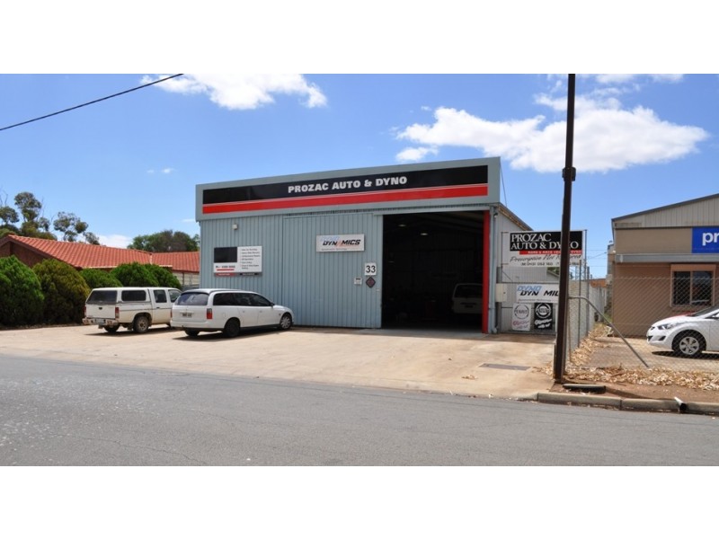 33 Phineas Street, Virginia SA 5120