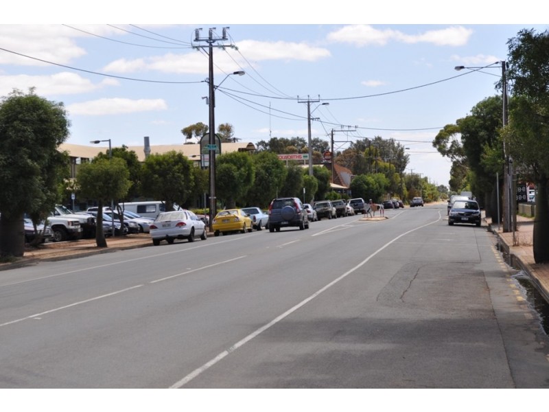 33 Phineas Street, Virginia SA 5120