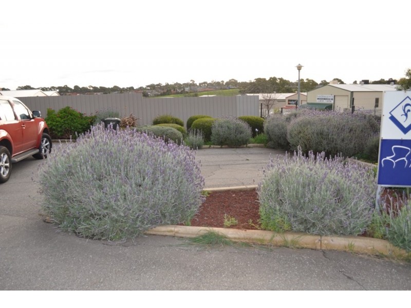 13 Edison Drive, Golden Grove SA 5125