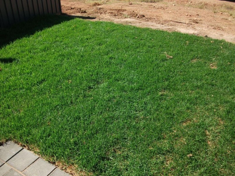 6 Lakeland Road, Munno Para West SA 5115