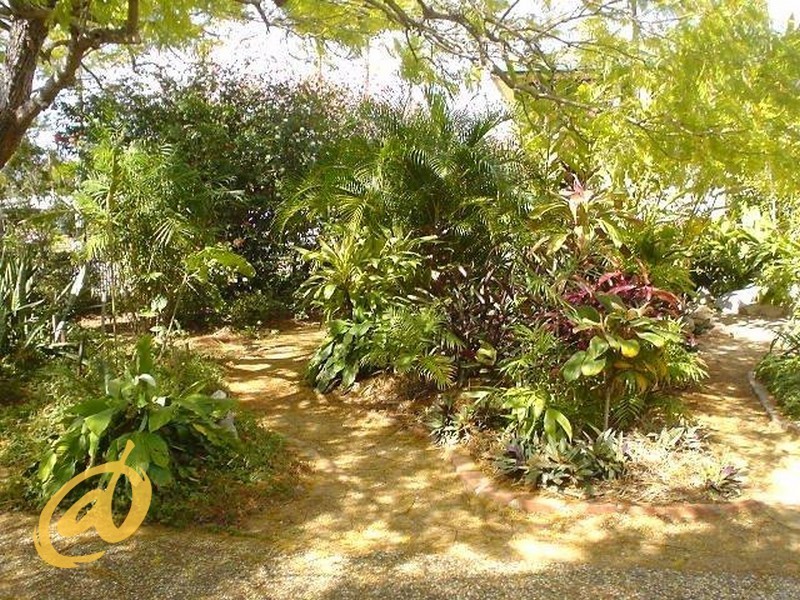 15 Symphony Avenue, Strathpine QLD 4500