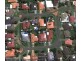 Dakabin QLD 4503