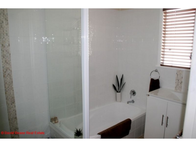 24 HEDGE, Strathpine QLD 4500