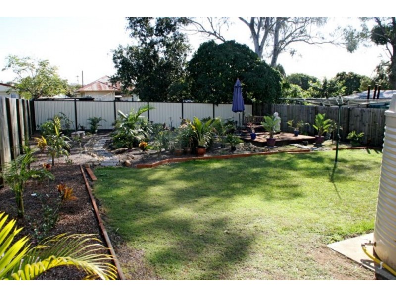 24 HEDGE, Strathpine QLD 4500