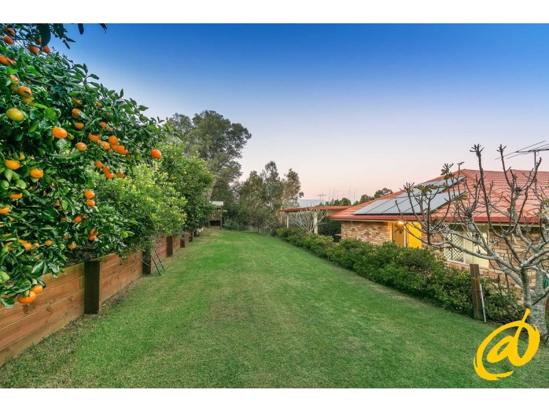 56 Affleck Avenue, Petrie QLD 4502