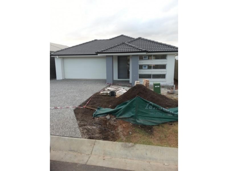 19 Carlingford Cct, Warner QLD 4500
