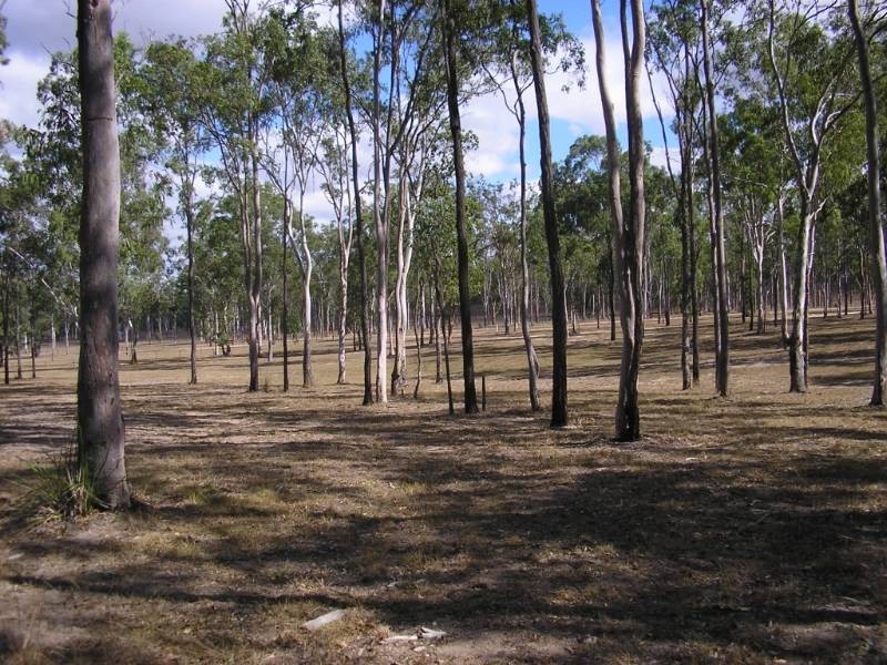 Nanango QLD 4615