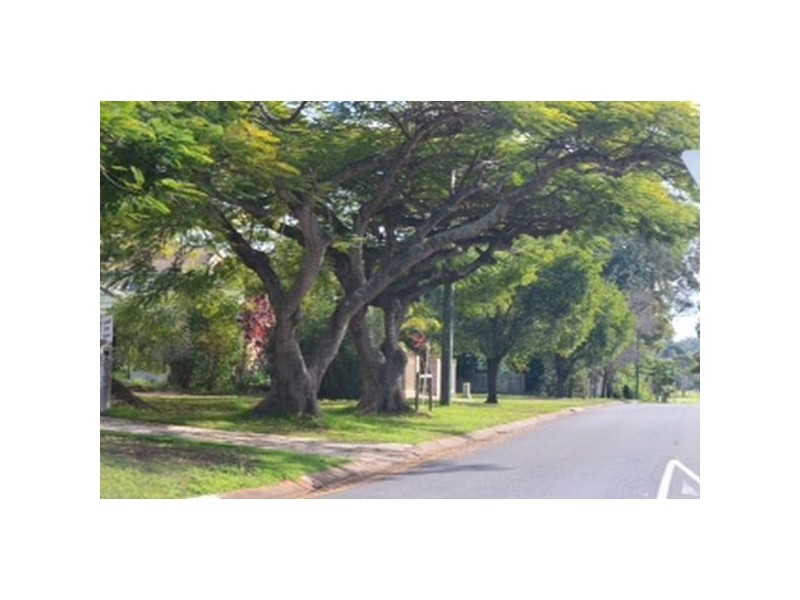 106 Quinlan Street, Bracken Ridge QLD 4017