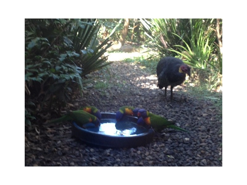 3 Natures Court, Joyner QLD 4500