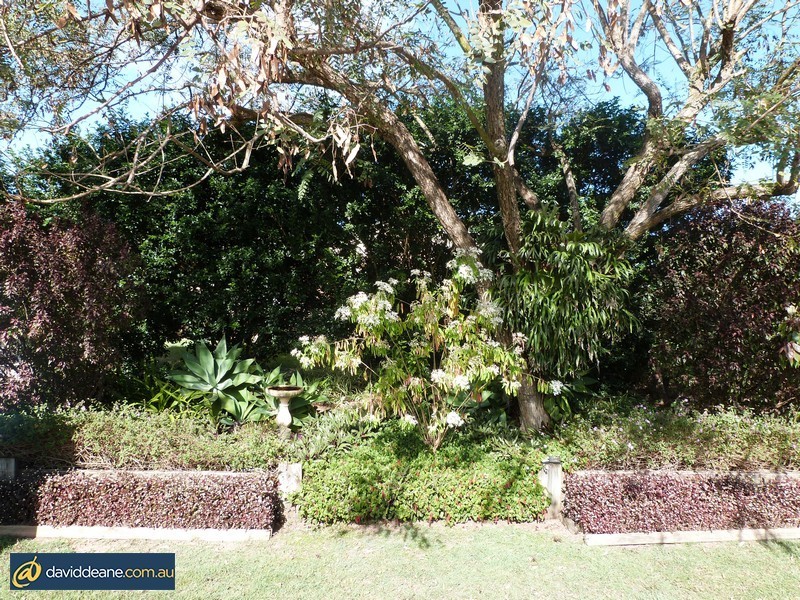 10 Wombat Ct, Lawnton QLD 4501