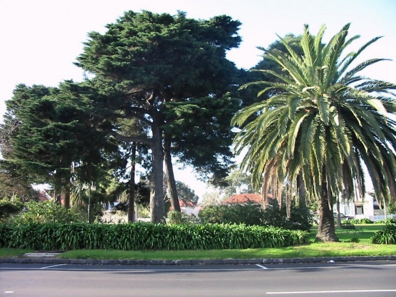 26 Osborne Street, Williamstown VIC 3016