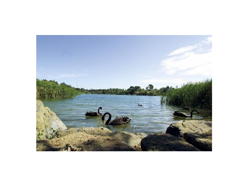 51 Woods Street, Newport VIC 3015