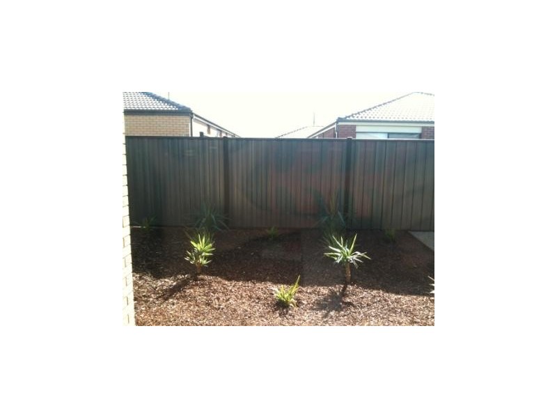 16 Edsall Street, Tarneit VIC 3029