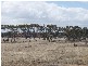 Lot 2813 Mitchley Court, Cairnlea VIC 3023