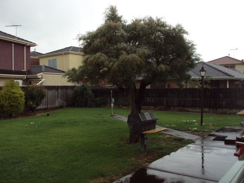 8 Whittaker Street, Maidstone VIC 3012