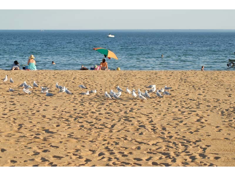 12 Joiner Street, Williamstown VIC 3016