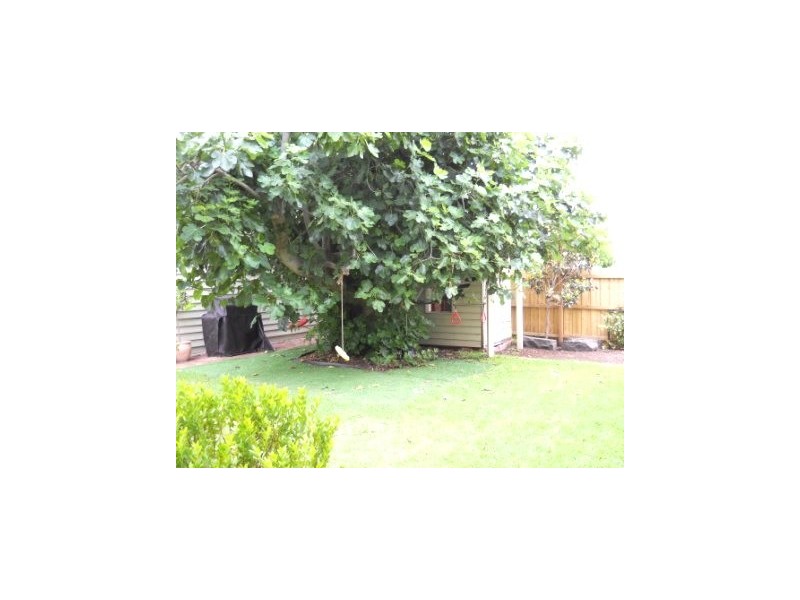 92 Elphin Street, Newport VIC 3015