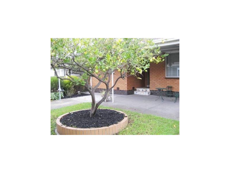 22 Drew Street, Yarraville VIC 3013