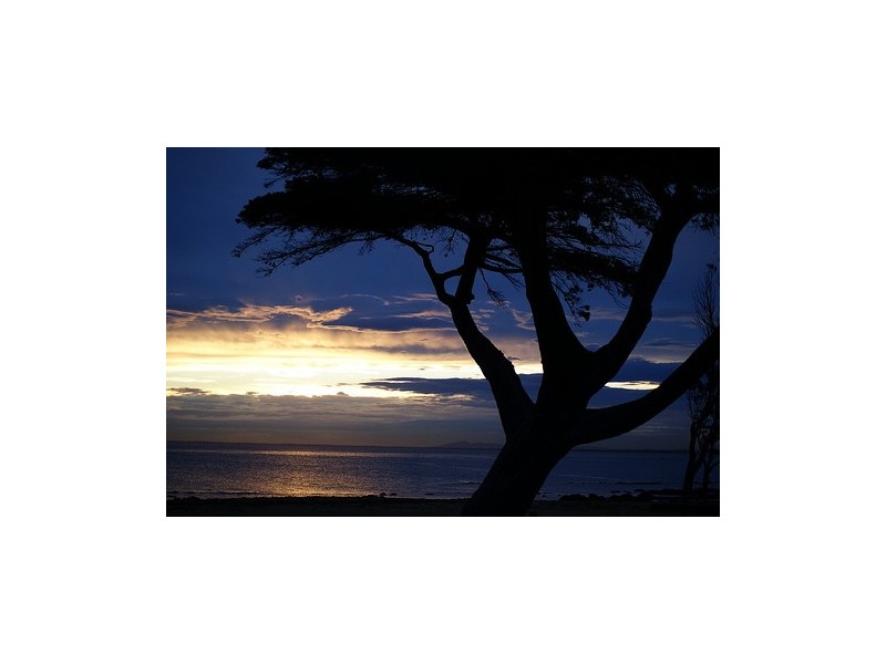 54 Smith Avenue, Williamstown VIC 3016