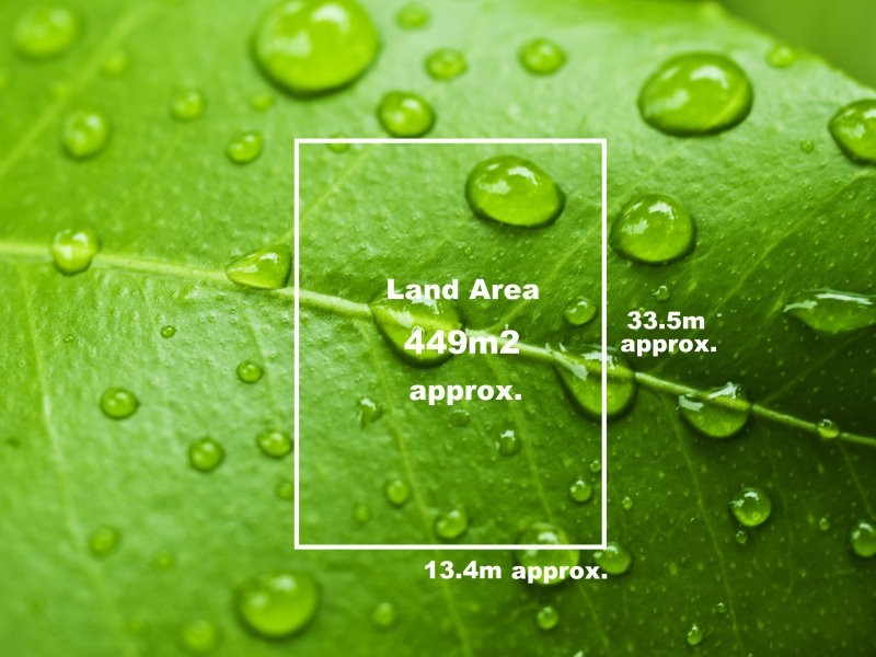 17 Jack Street, Newport VIC 3015