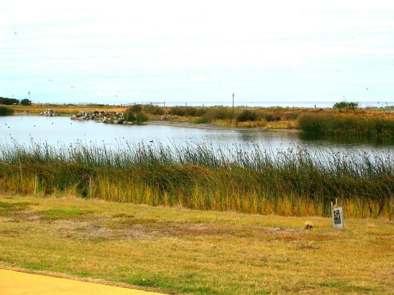 3/34 Macaulay Street, Williamstown VIC 3016