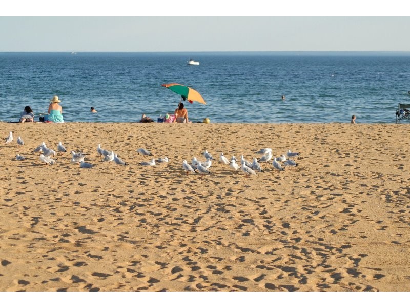 87 Hannan Street, Williamstown VIC 3016