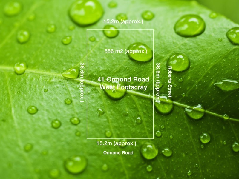 41 Ormond Road, West Footscray VIC 3012