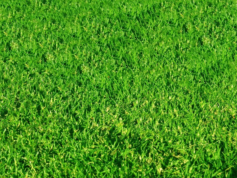 56 Balfour Avenue, Sunshine North VIC 3020