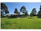 54 Mason Street, Newport VIC 3015