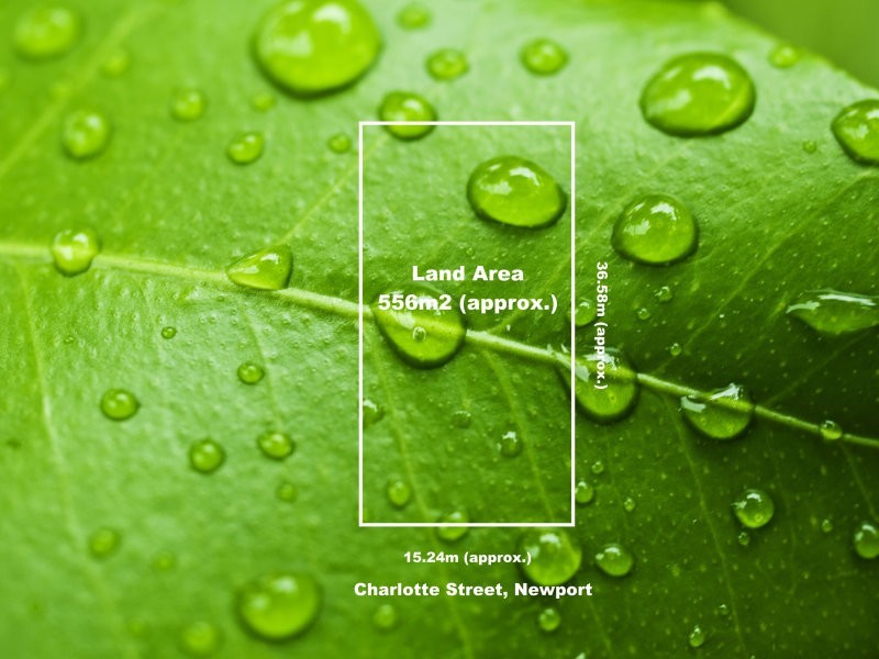 11 Charlotte Street, Newport VIC 3015