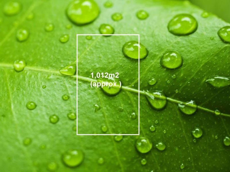 50 Chelmsford Street, Williamstown North VIC 3016